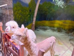 -正佳雨林生态植物园