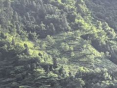 -善泳者游泳俱乐部(长江之舟店)