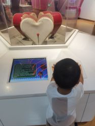 -北京科学中心儿童乐园