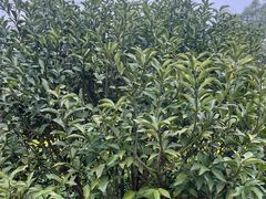 -千龙湖生态旅游度假区