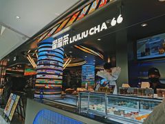 -TD66高山铁皮石斛养生茶饮