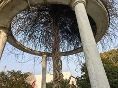 -苏州太湖西山岛开心农场
