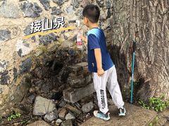 -阳台山自然风景区