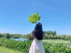 -艾溪湖湿地公园