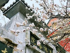-圣莲山风景区