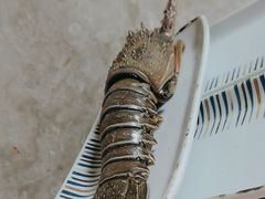 -夏威夷 ·全球海鲜姿造(高新店)