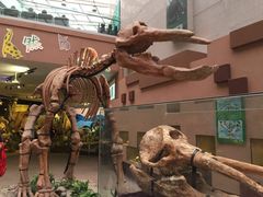 -陕西自然博物馆