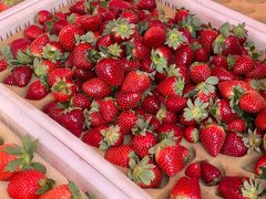 隋珠草莓-南坛综合农贸市场