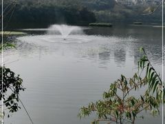 -重庆彩云湖湿地公园