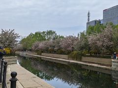 -元大都城垣遗址公园