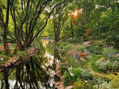 -上海共青森林公园