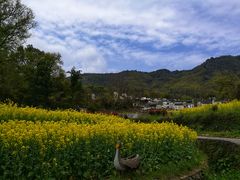 -塔川景区