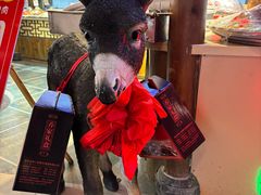 -乔家小院•非遗驴肉•本地小海鲜(滨河路店)