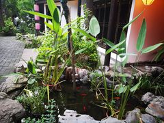 -院8里·小聚园老川菜(九眼桥店)