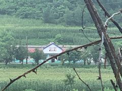 -图们国门景区