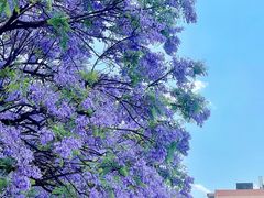 -昆明冠生园·蛋糕·面包(南强街店)