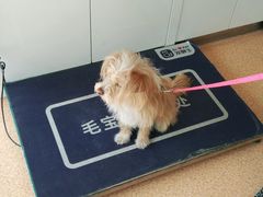 -宠颐生中康贝怡动物医院