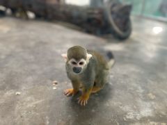 -西安秦岭野生动物园