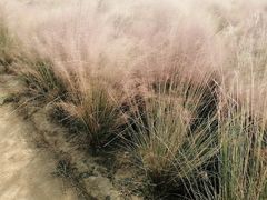 -艾溪湖湿地公园