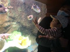 -太平洋海底世界