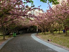 -苏州河梦清园环保主题公园