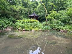 -句容茅山景区