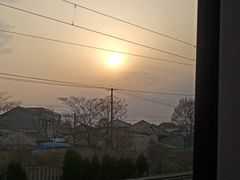 -潍坊站