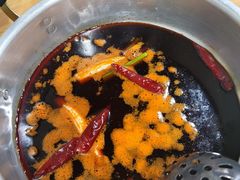 鸭血锅底-XX麻辣烫(八里小区直营店)