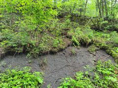 -峡谷浮石林景区