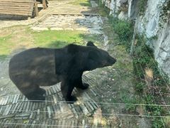 -黔灵山公园