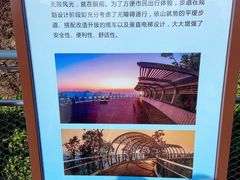 -板樟山森林公园