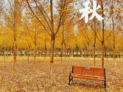 -香山公园