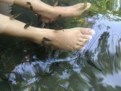 -三亚珠江南田温泉度假区