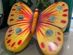 -上海昆虫博物馆