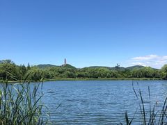 -北坞公园