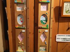 八音盒-小樽八音盒堂