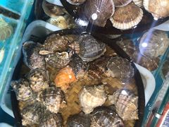 -港畔赶海蒸汽海鲜烧烤自助(仙螺岛店)