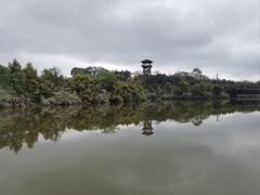 -张坝桂圆林公园