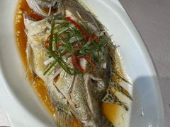 -阿莉餐厅(枣阳路店)