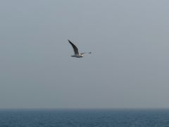 -蟹之国·精品蟹料理(极地店)