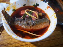泥鳅-渝味黄姐火锅(黄泥村店)