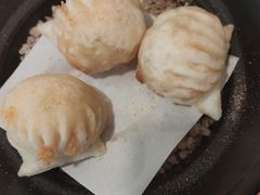 -点都德·毕德寮