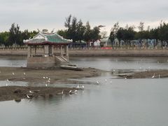 -龙舟池