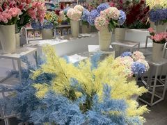 -KKV(深圳宏发大仟里店)