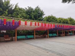 -厦门方特梦幻王国