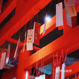 苏州探店🍻夏日夜晚在淮海街喝酒撸串吃冒菜