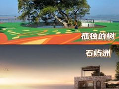 -南澳岛打卡果汁冰公司