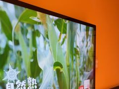 -西贝(六里桥旗舰店)