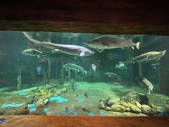 -华夏文旅海洋公园