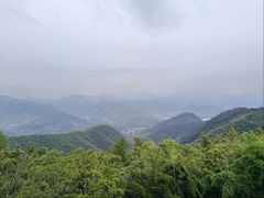 -莫干山风景区